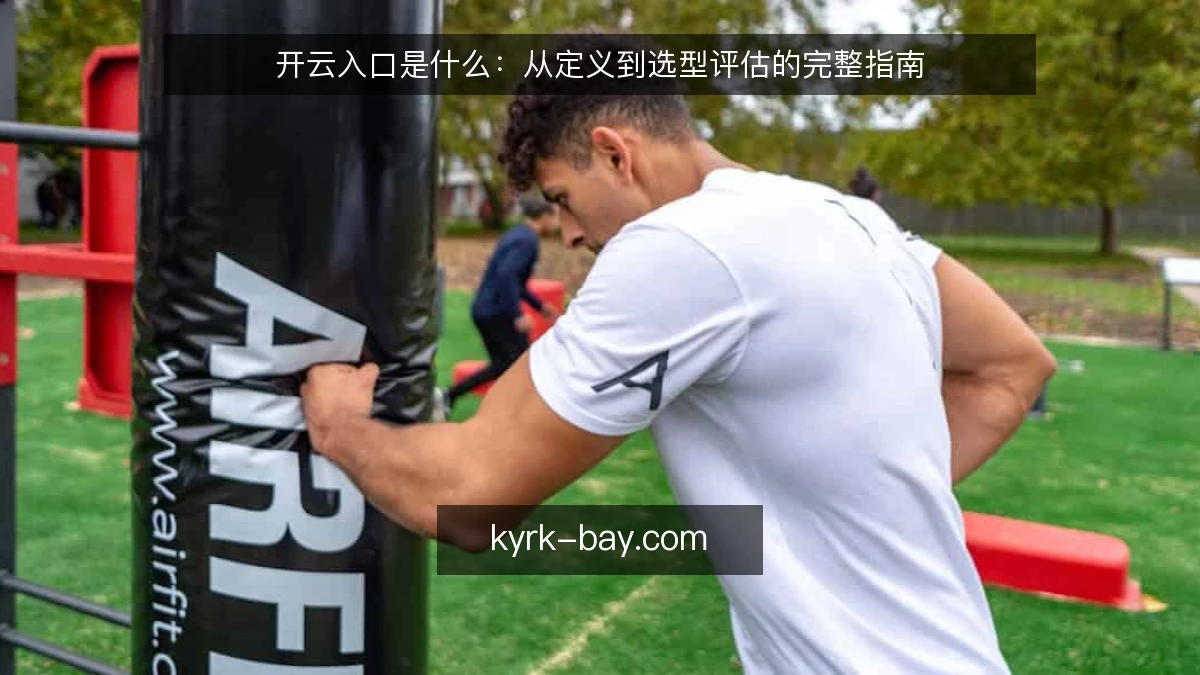 开云入口是什么：从定义到选型评估的完整指南