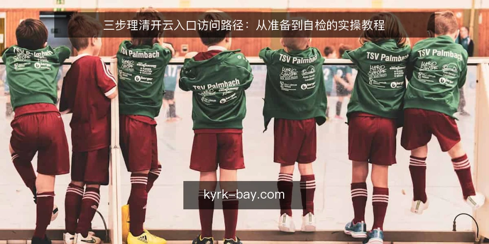 三步理清开云入口访问路径:从准备到自检的实操教程 — 基线:明确当前入口与访问目标 配图