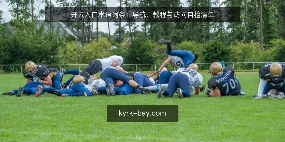 开云入口术语词条:导航、教程与访问自检清单 — 为什么现在要审计开云入口访问 配图