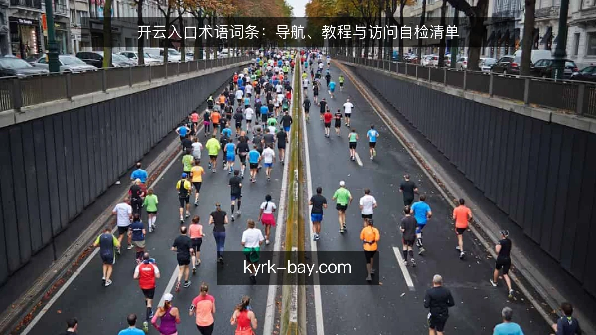 开云入口术语词条：导航、教程与访问自检清单