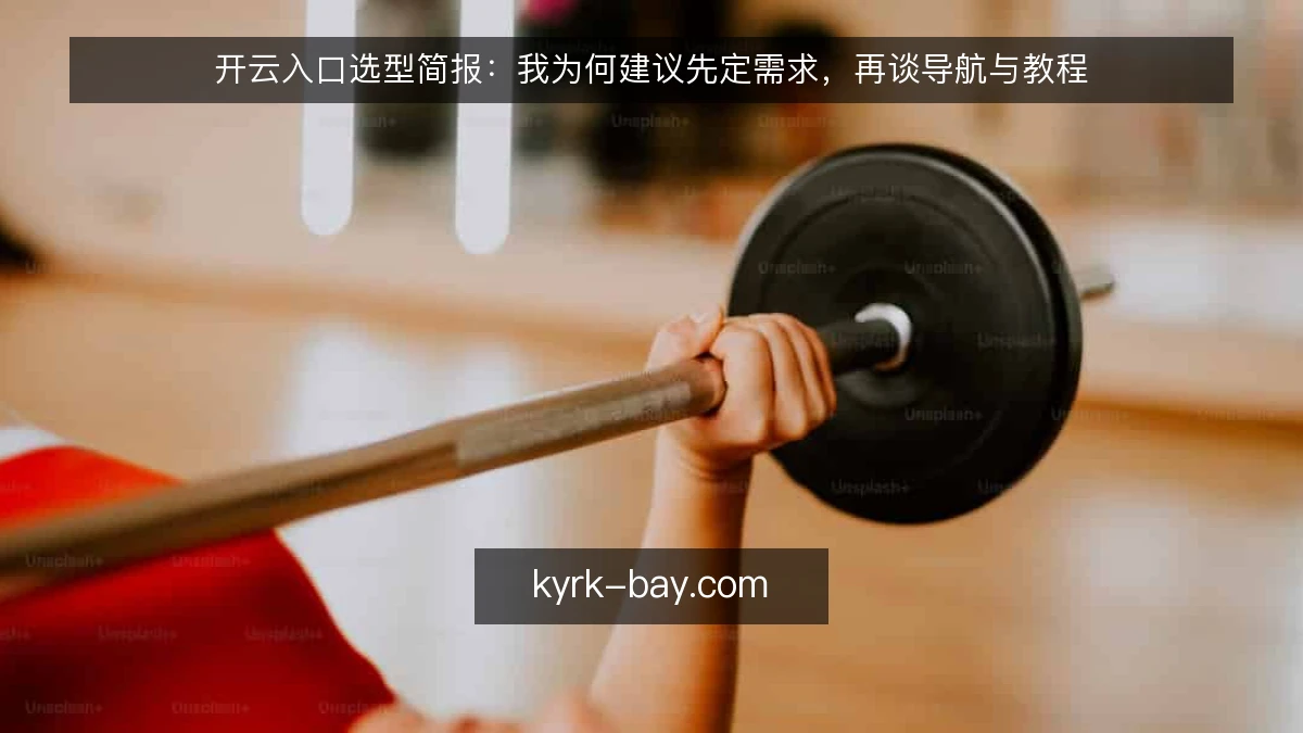开云入口选型简报：我为何建议先定需求，再谈导航与教程