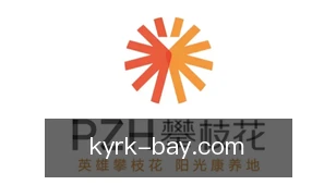 开云入口
